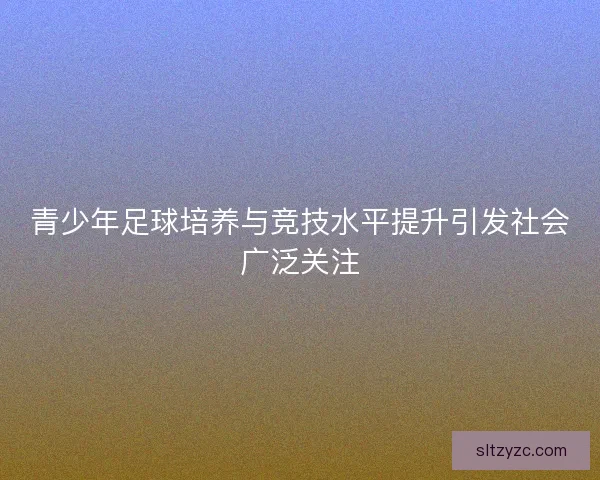 青少年足球培养与竞技水平提升引发社会广泛关注